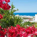 Boutique Di Vito Mykonos Town