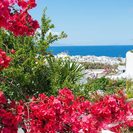 Boutique Di Vito Hotel Mykonos Town