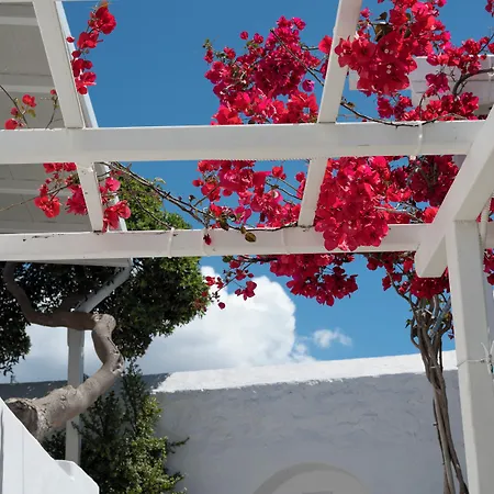 Otel Boutique Di Vito Mykonos Town
